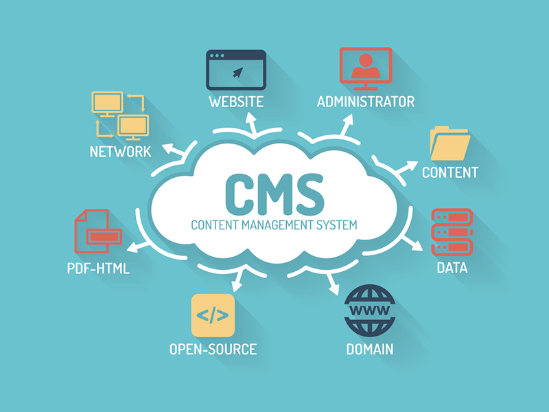 Custom CMS Development Services in Jeddah - Scalable Content Management Solutions