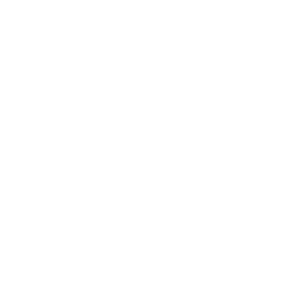 Google Business Profile Management Services Jeddah Local SEO Optimization
